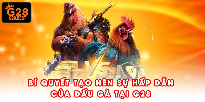 Bí quyết tạo nên sự hấp dẫn của đấu gà tại G28