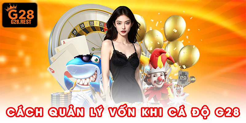Cách Quản Lý Vốn Khi Cá Độ G28 - 4 Bí Kíp Chống Cháy Túi