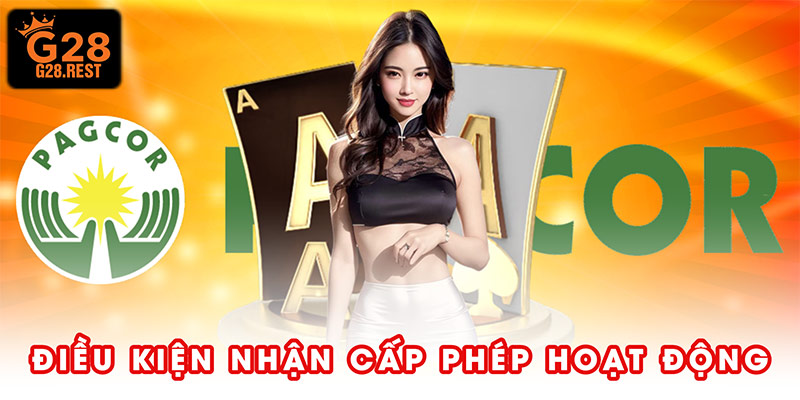Điều kiện cần thiết để nhận cấp phép hoạt động