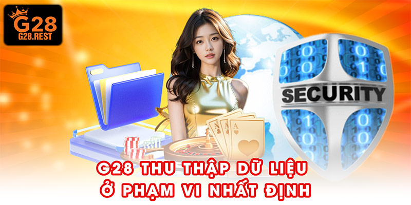 Nhà cái G28 chỉ thu thập dữ liệu ở một phạm vi nhất định