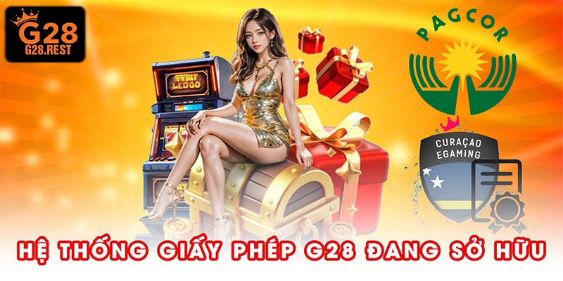 Hệ thống giấy phép G28 đang sở hữu