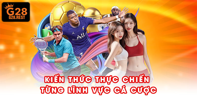 Kiến thức thực chiến từng lĩnh vực cá cược