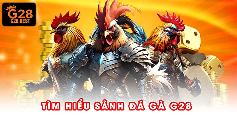 Tìm hiểu sảnh đá gà G28